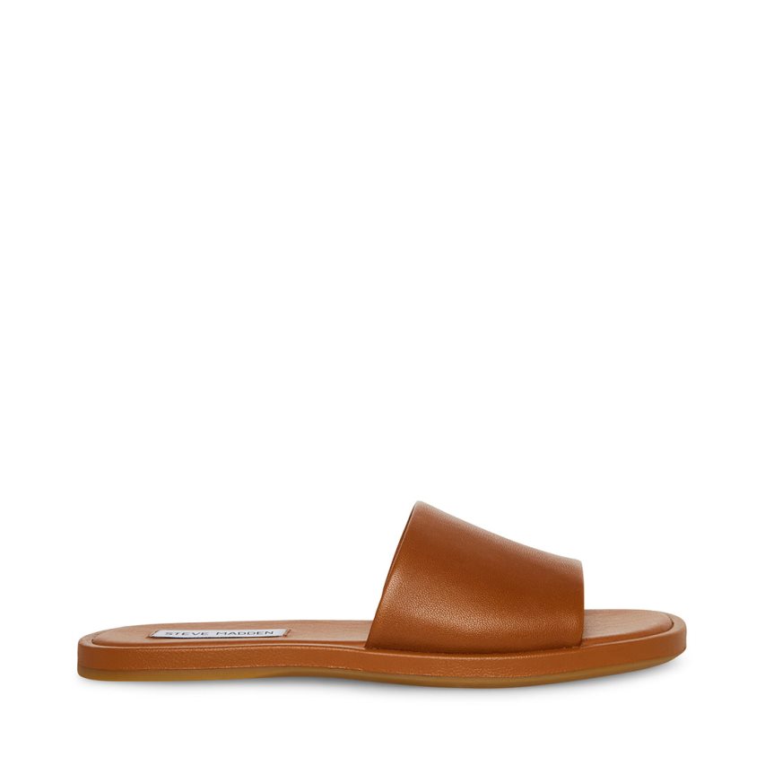 Brown Steve Madden Kaya Leather Women's Slides | PH 6592GXJ